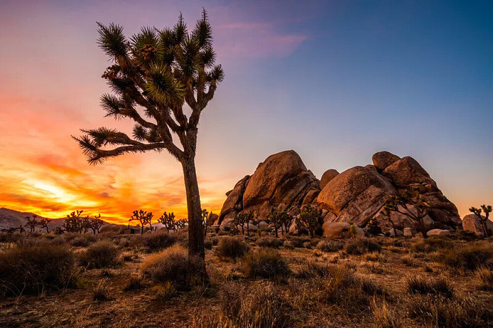 3 Day Recharging Retreat in the Desert in CA, USA