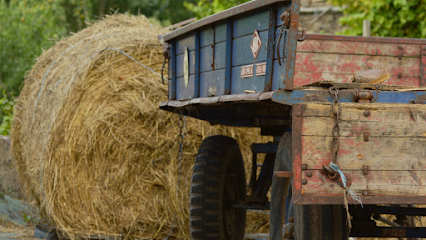 Frenchtown Trailer Sales and Supply