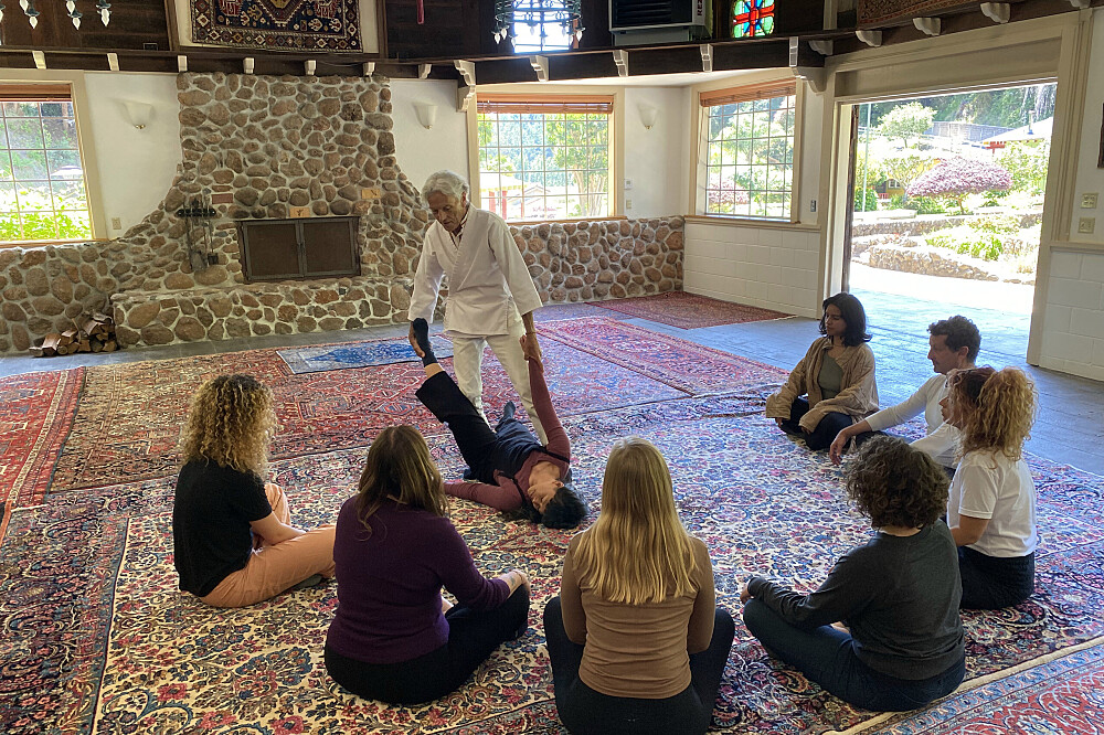 2-tägiges Retreat „Verbindung zum Leben“: Körperarbeit in Santa Cruz, Kalifornien, USA