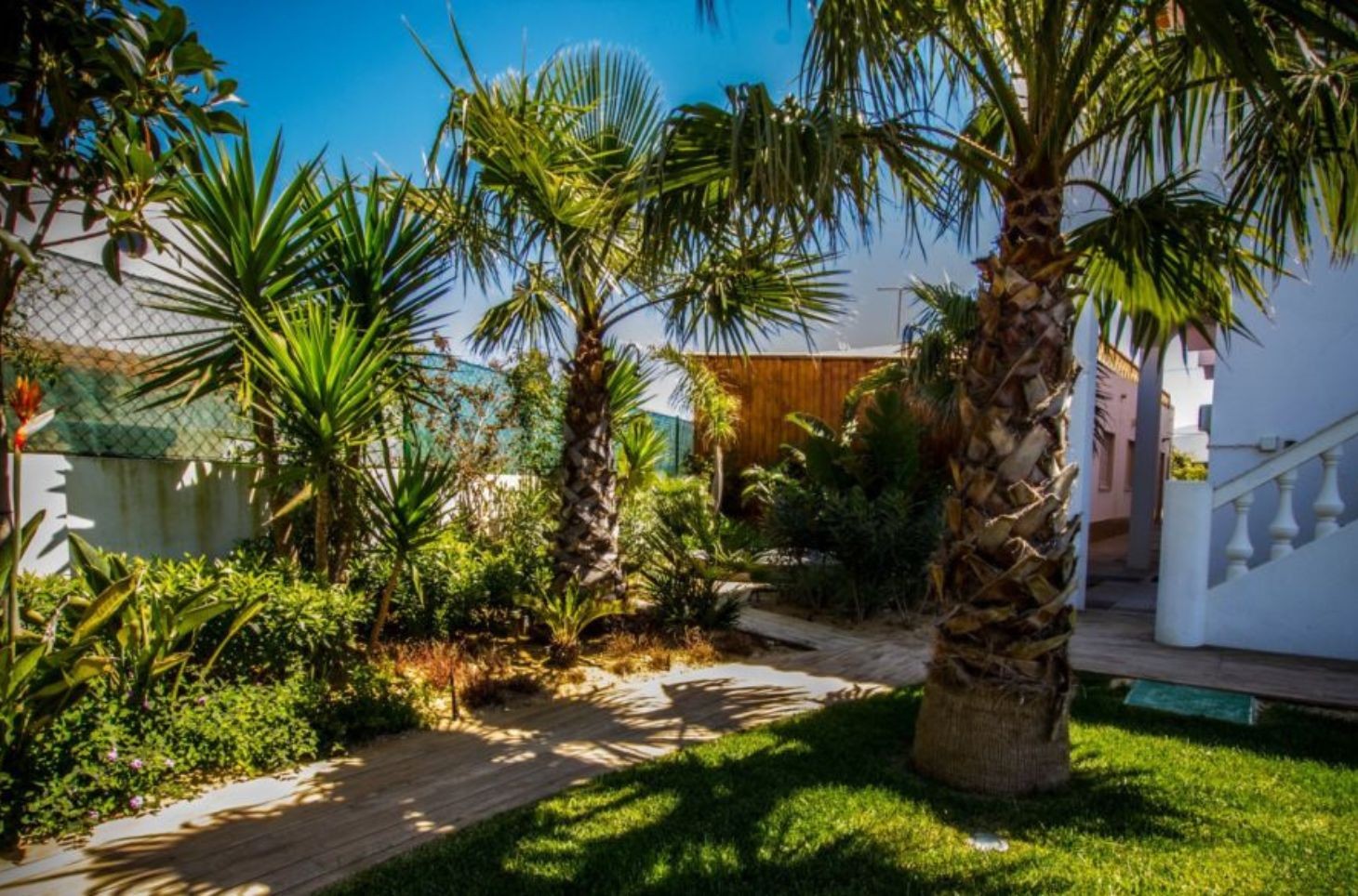 Surfinn Sagres Surf Camp & Surf School