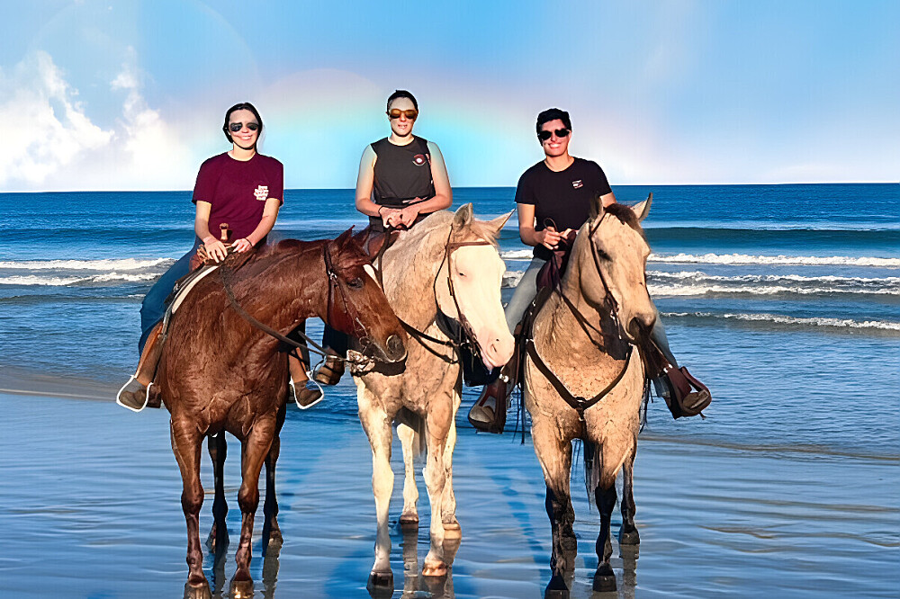3 Day Soul Reconnection Through Horses Retreat Florida, US