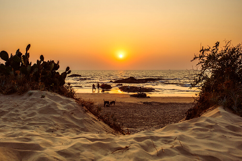 8 Day (Flexible) Yoga & Meditation Retreat in Goa, India