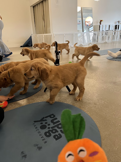PupsYoga Vancouver