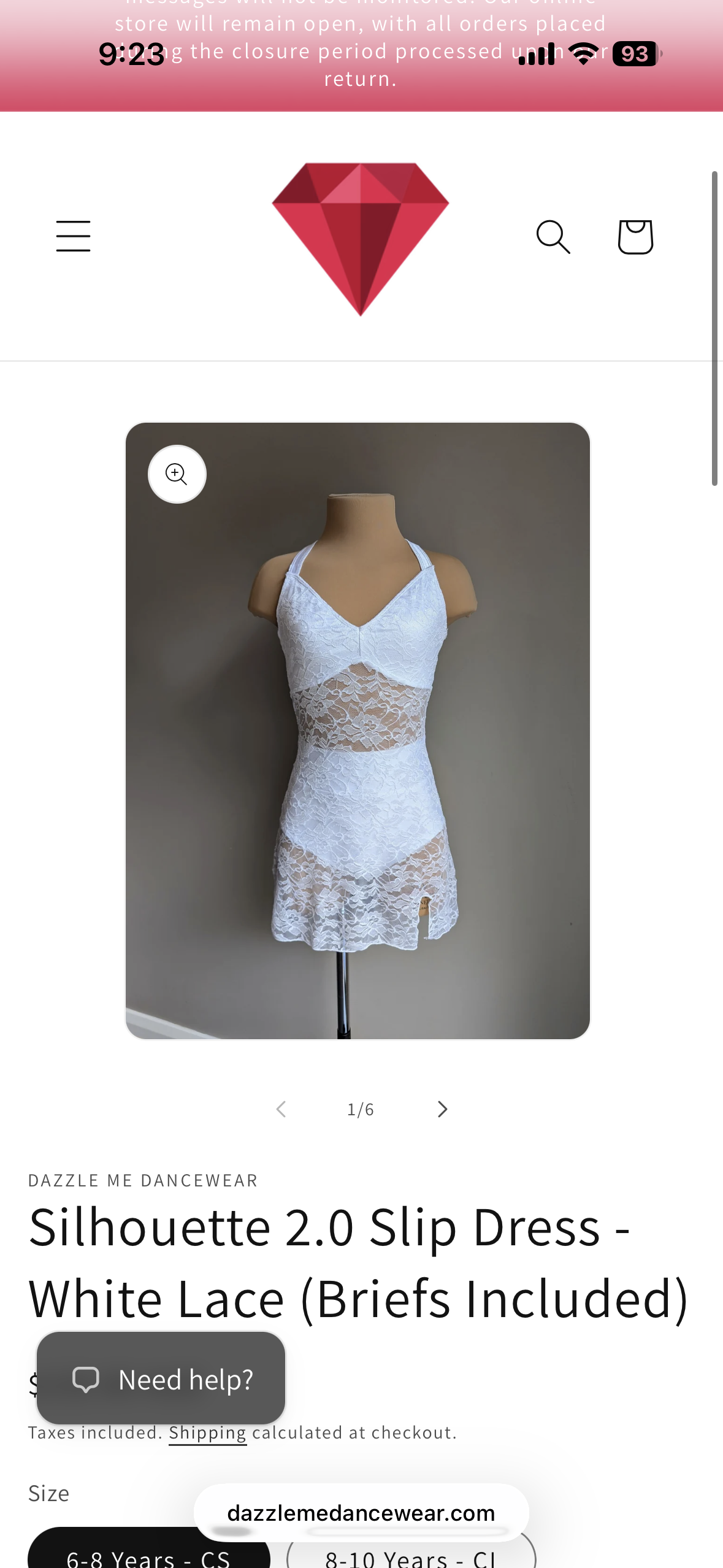 Silhouette 2.0 Slip Dress- White Lace (Briefs Included)