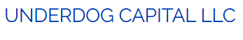 Underdog Capital LLC | Business Consulting
