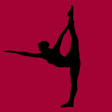 Bikram Yoga In The Valley Simsbury logo