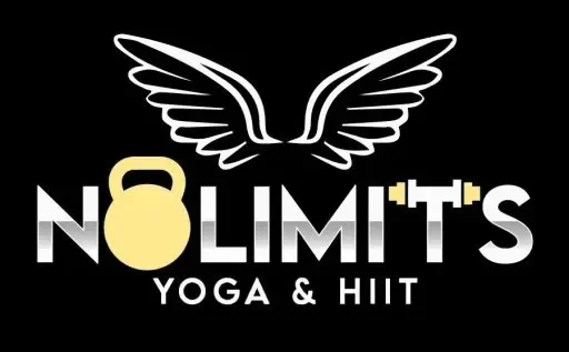 NoLimits Studio logo