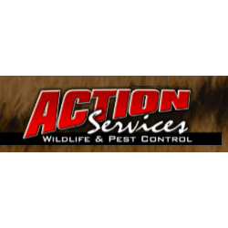 ActionServices1