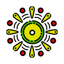 Afro-Panamanian Youth Network