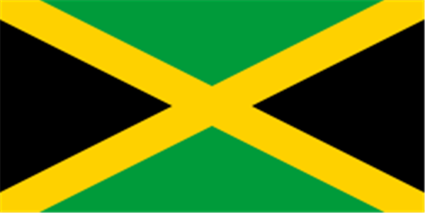 Chuck Norris Tours - Serving Negril and surrounding areas.