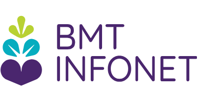 BMT INFONET