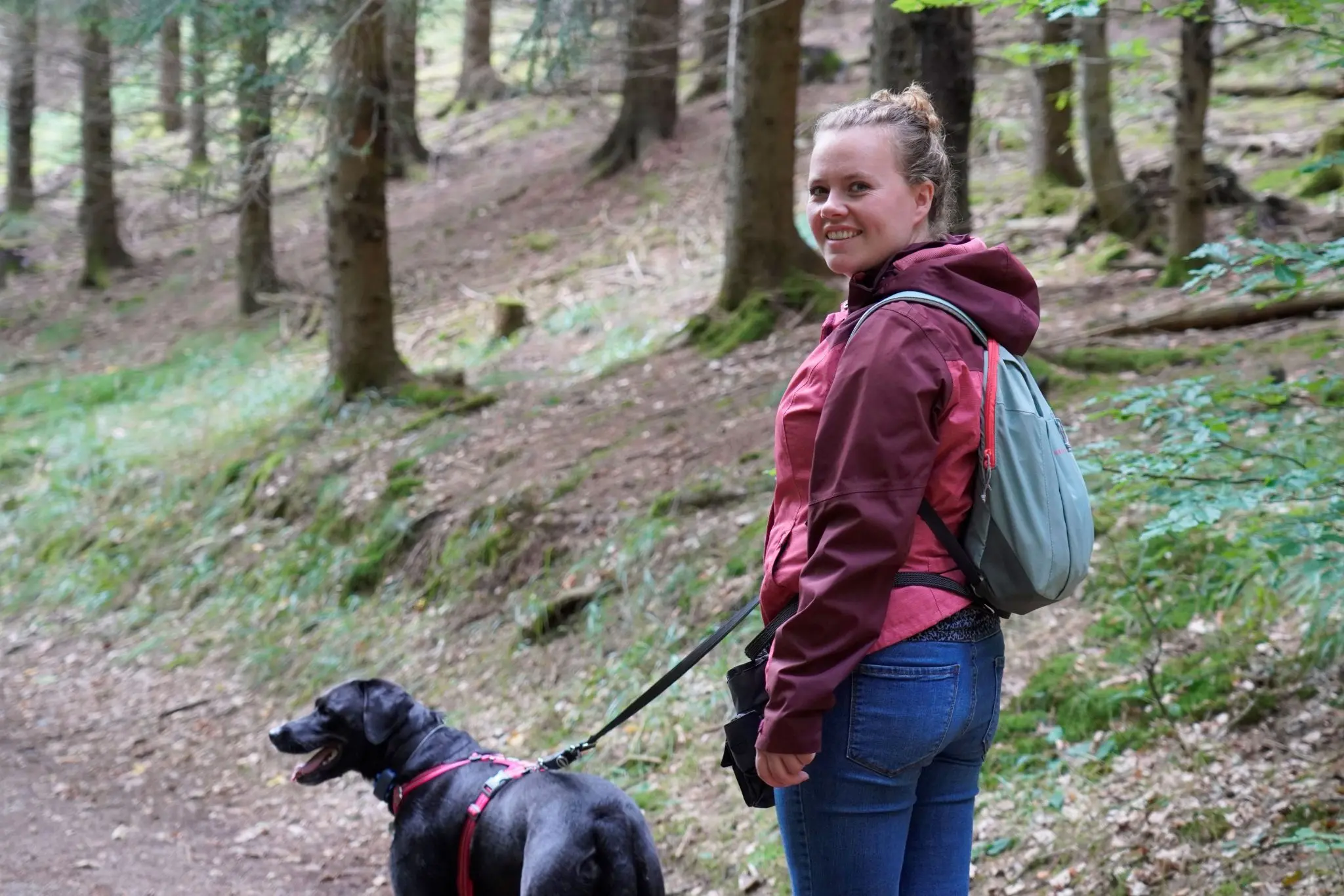 Gedragstraining voor honden