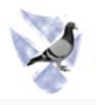 Scottish Homing Union