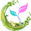 Tropical Chic Weddings & Events