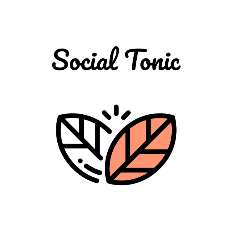 GoHighLevel marketplace - GHL integration - Social Tonic
