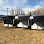 Christensen Ranches