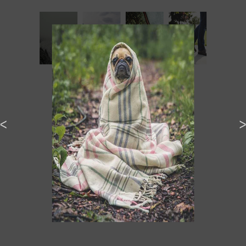 Gallery 1 template for funnels