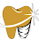 Dazzle Dental Care Specialist in RCT and Dental Implant