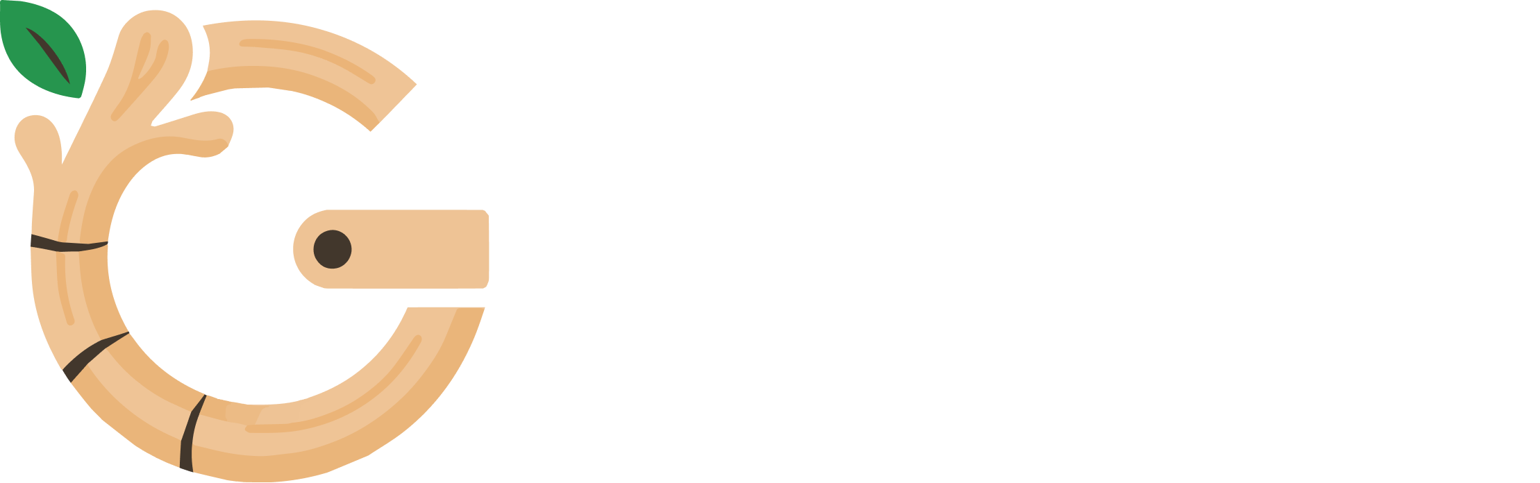 Ginger Wallet logo