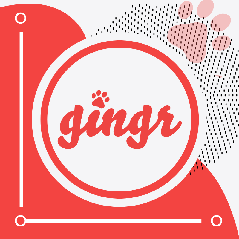 Gingr for Workflows