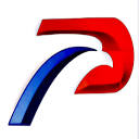 Patriot Plastering and Construction logo