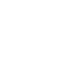 Salemi Exteriors logo