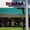 Golden Krust Caribbean Restaurant