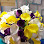 CAS Design Weddings