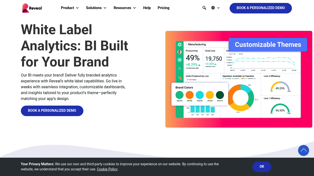 Desktop screenshot of Reveal BI web interface