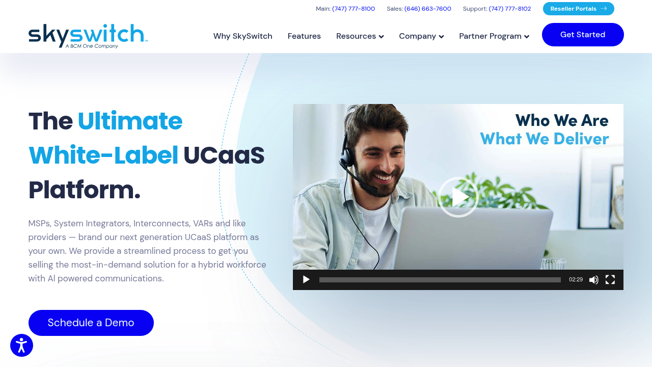 Desktop screenshot of SkySwitch software interface