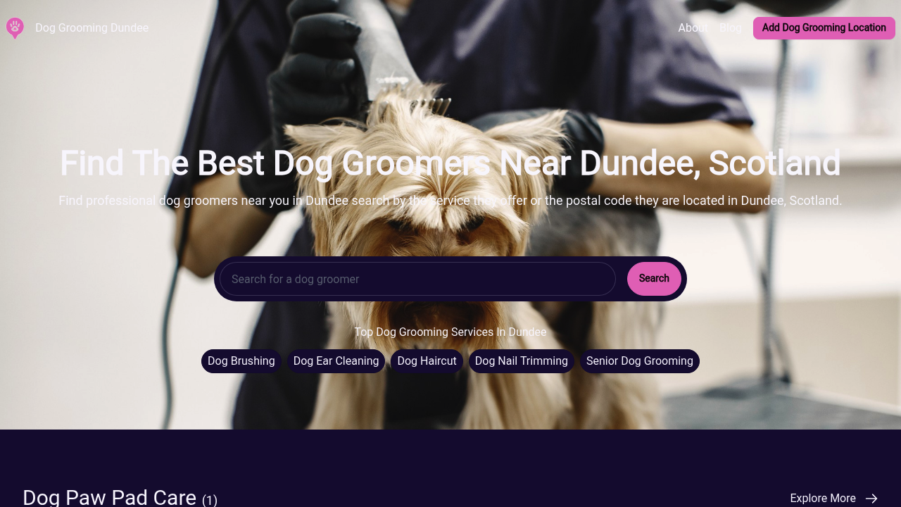 Find The Best Dog Groomers Near Dundee, Scotland