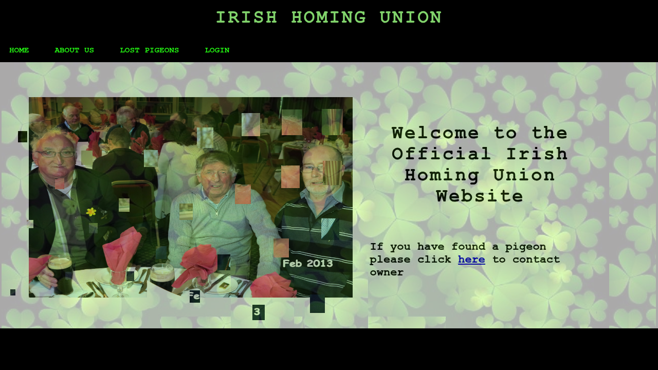 Irish Homing Union racing pigeon resource image