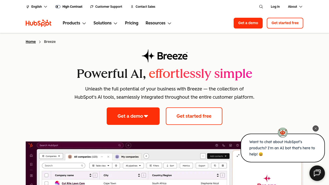 HubSpot AI