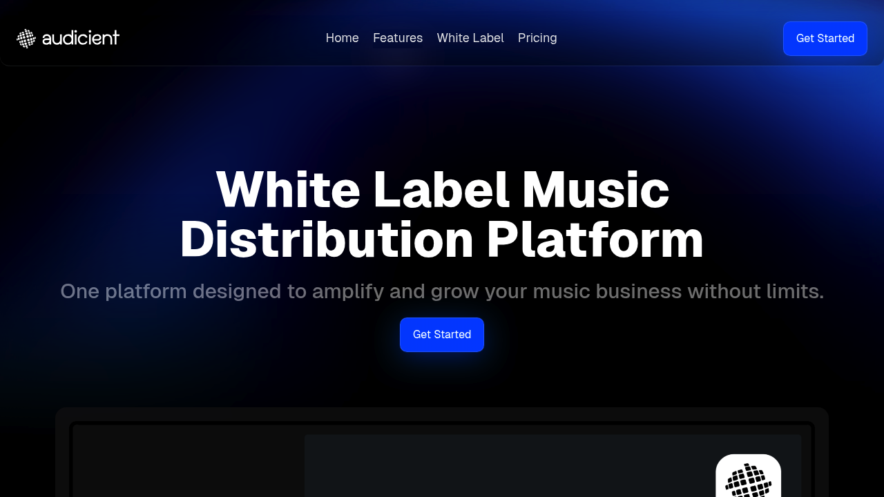 Desktop screenshot of Audicient web interface