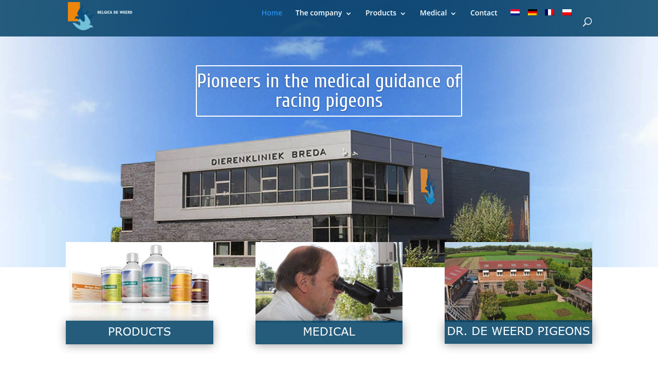 Belgica De Weerd pigeon health image