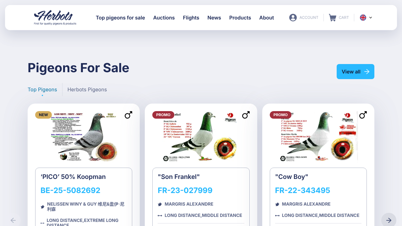 Herbots racing pigeon resource image