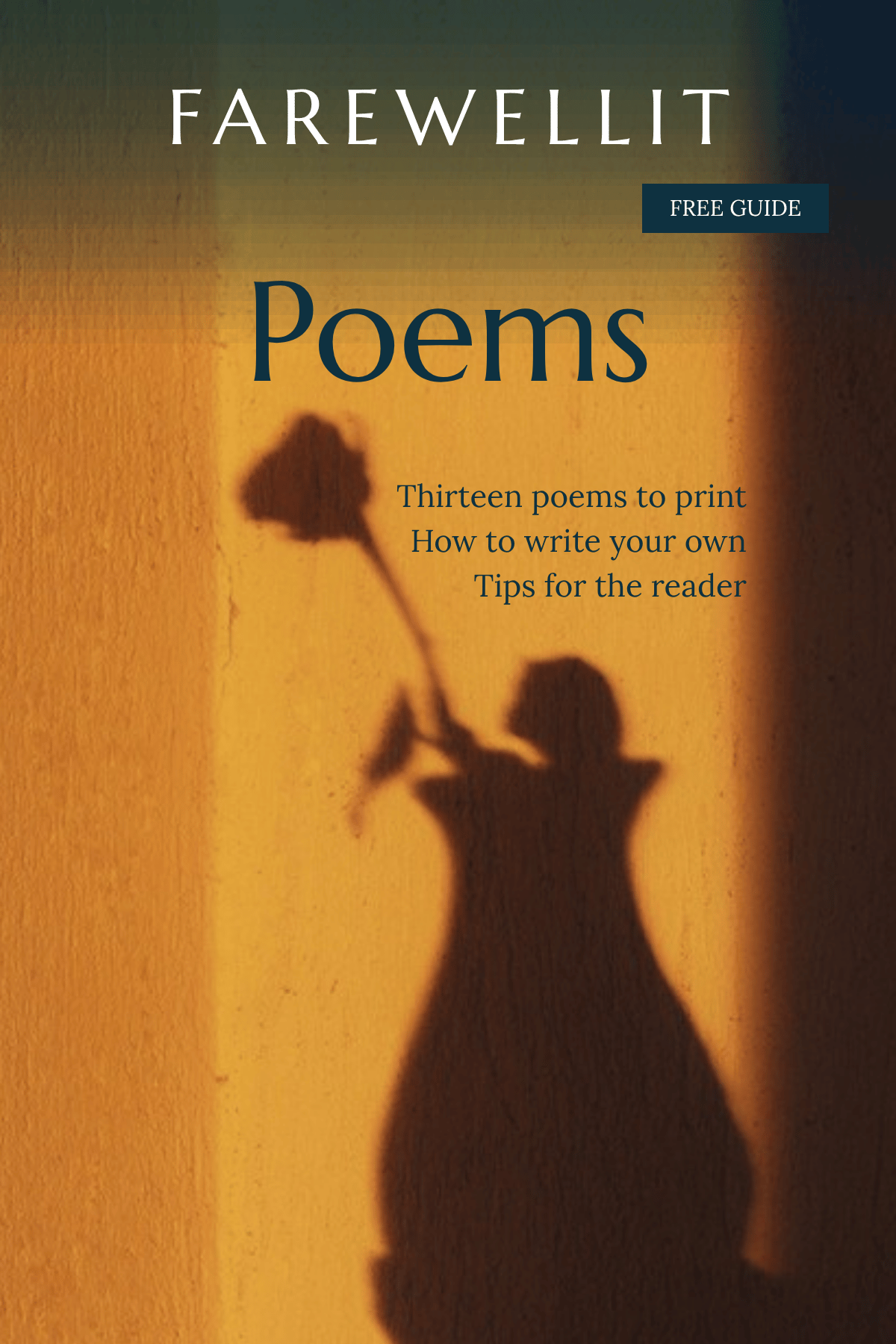 Poems guide cover